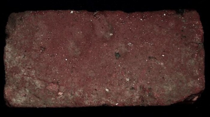 Brick with Animal Paw Print