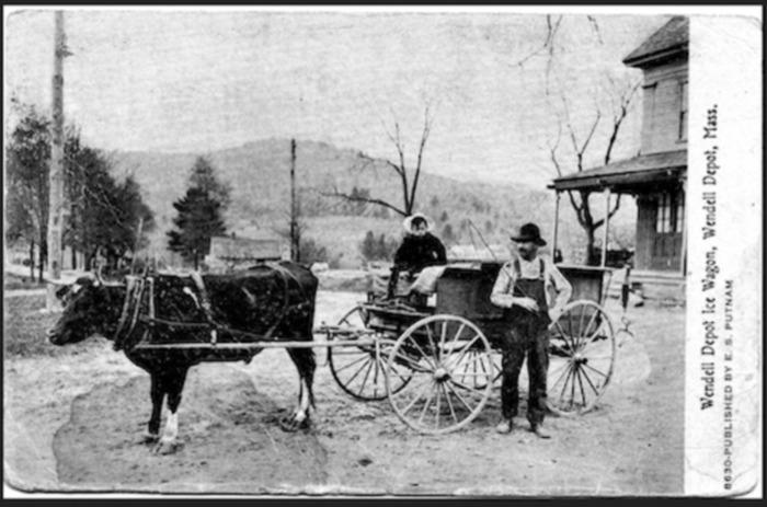 Wallace Brown and Son, ca 1900